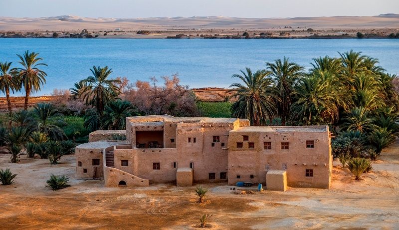 Oasis de Siwa