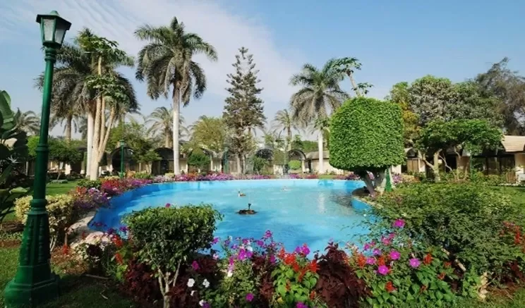 Piscina al aire libre Oasis Hotel Las Pirámides